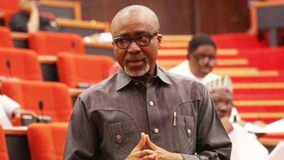 COVID-19: Senate intervenes in diplomatic row between Nigeria, UAE