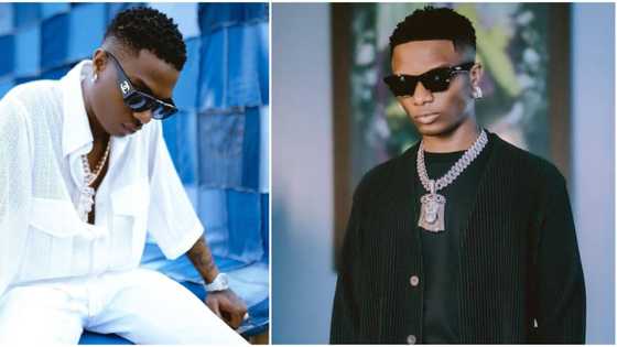 "Bring him back on stage": Old video of Wizkid showing love to fan who tore his trouser resurfaces