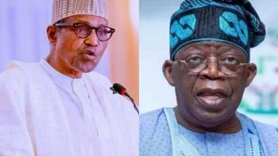 Da Duminsa: Buhari Ya Sha Alwashin Yi wa Tinubu Gagarumin Kamfen