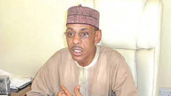 Buhari's weakness fueling threat to Nigeria's unity, Northern elders declare