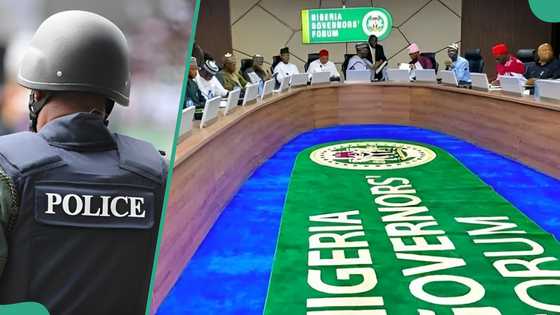 36 governors finally endorse state police, NEC postpones decision