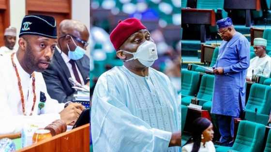 Year In Review: Faleke, Elumelu and 3 other most vocal House of Reps members in 2020