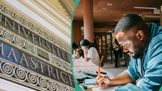No application fee: Netherlands invites Nigerians to apply for its N30 million scholarship