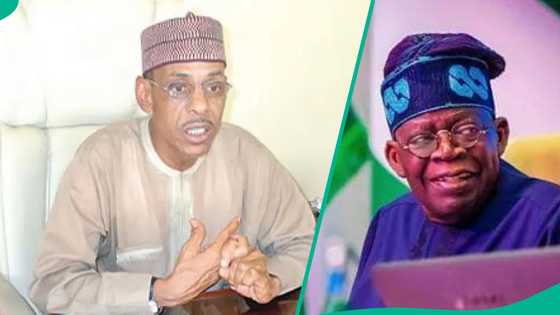 An samu matsala a Gwamnatin Tinubu, Hakeem Baba Ahmed ya yi murabus daga muƙaminsa