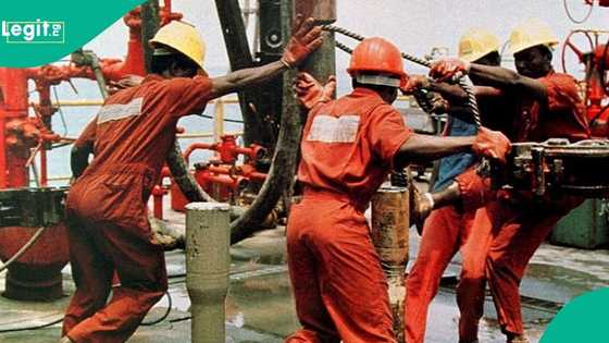 PENGASSAN confirms as NNPC, Seplat, Shell, other oil firms increase workers' salaries by 300 per cent