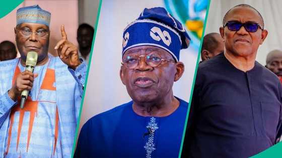 LP ta gano hanyar da Peter Obi zai iya kifar da Tinubu cikin sauki a 2027