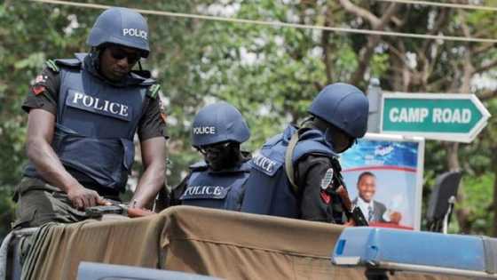 ‘Yan Sanda sun tabbatar da kisan Basarake da cafke wani yaron Bello Turji a jihar Zamfara