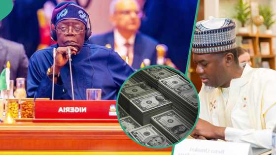 Mai ba Jonathan shawara ya nunawa Tinubu hanyar farfado darajar Naira kan Dala