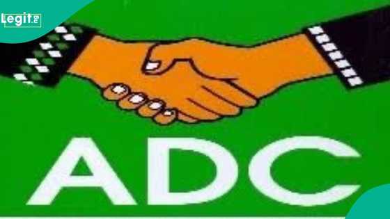 Cracks in ADC as party's chairman in Nasarawa gets suspended over alleged anti-party activities