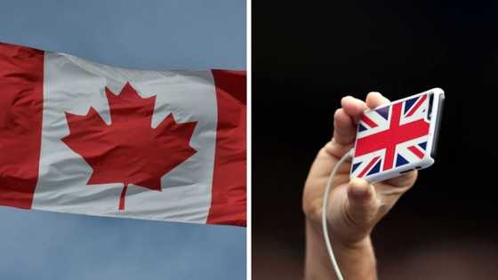 Canada gives permanent residency to over 18,ooo Nigerians in 3 years as UK visa study approvals spikes