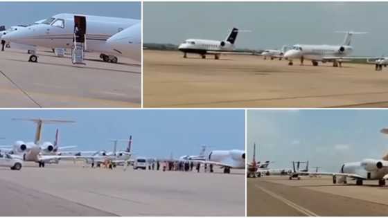 Buhari’s son wedding: Nigerians react as over 25 private jets take over Kano airport