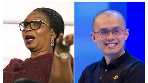 The world's biggest cryptocurrency exchange, Binance, appoints Ibukun Awosika to Global Advisory Board