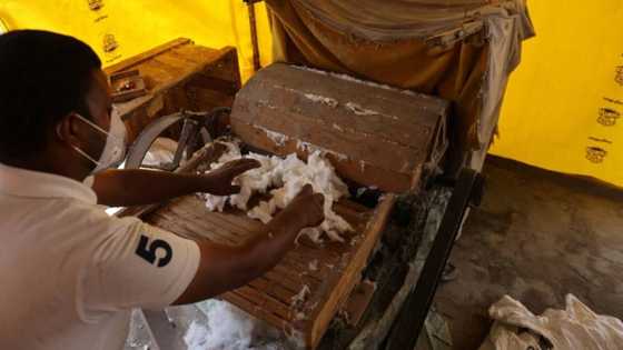 Amazing photos of how cigarette stubs are turn into soft toys, other products