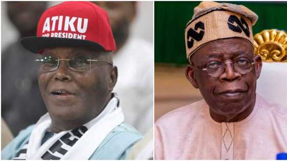 "Go and take your APV APC and you must vote" Atiku reacts as Tinubu suffers another gaffe in Lagos