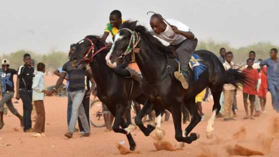 Haka kawai: Wani mutumi ya budewa 'yan kilisar doki wuta a jihar Kano