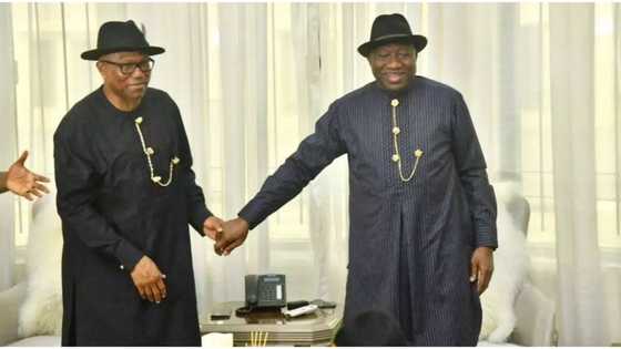 2023: After Peter Obi's visit, Jonathan speaks on Nigeria's next president, makes strong revelation