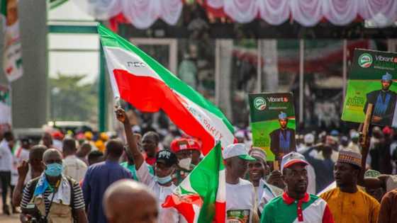 Muslim-Muslim ticket: Tinubu has slapped Nigerians in the face, says PDP youth group
