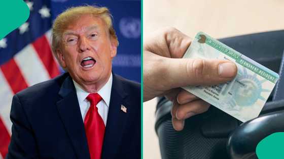 US releases 5 conditions skilled workers need to qualify for employment-based Green Card