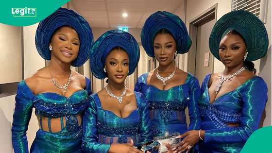 Asoebi ladies flaunt gorgeous outfits and accessories, netizens hail them: "They are magnificent"