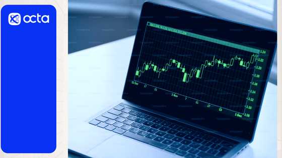 Plant your trading success: Leverage and margin explained by Octa Broker