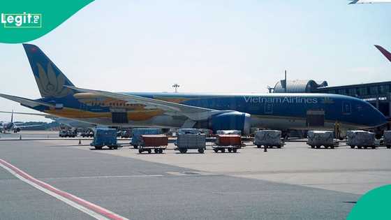 Man dies after being pulled into engine of departing aircraft at Milan airport