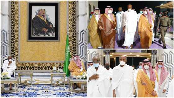 Just in: Photos emerge as Buhari, Tinubu, Dangote, others perform Lesser Hajj in Saudi Arabia