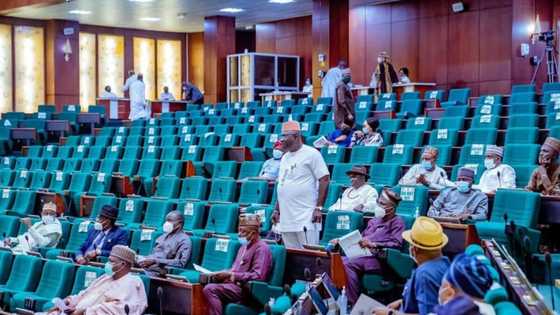 Lawmakers run for their lives as fight breaks out at PIB public hearing