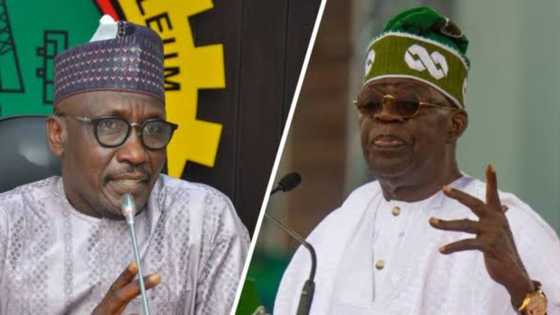 Arewa groups send urgent message to President Tinubu over NNPCL boss Mele Kyari