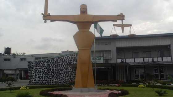 Crushing disgrace as court sacks all APC chairmen, councilors in famous state