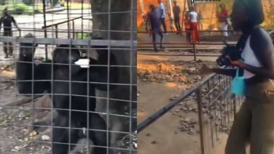 Bidiyon Yadda Biri Ya Kwace Wayar Salular Wata Mata Kuma Ya La'anta Shi A Gabanta
