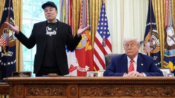 Asian markets wobble as Trump-Xi talks offset by Musk row