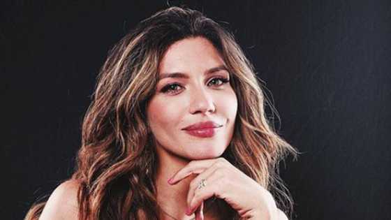 Do you want to discover the secret of Juliana Harkavy, her life, and marriage?