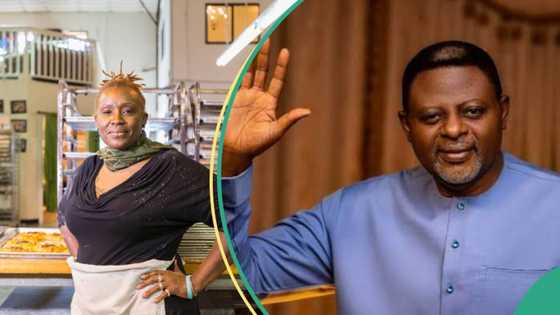 Good news for businesses as Cross River government tells investors not to pay tax, gives reasons