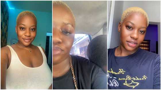 "He looks cute": Nigerian lady allows man rest on her shoulder inside bus, their photo stirs reactions