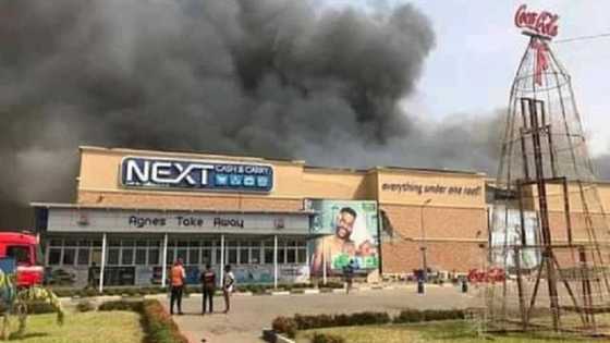 Looters of Next Cash and Carry super market are beasts, journalist wants them arrested