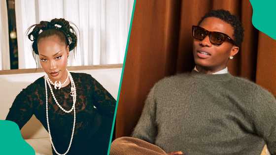 Music lover reviews Wizkid and Tems’ performance at Coachella: “Dem no know Machala”