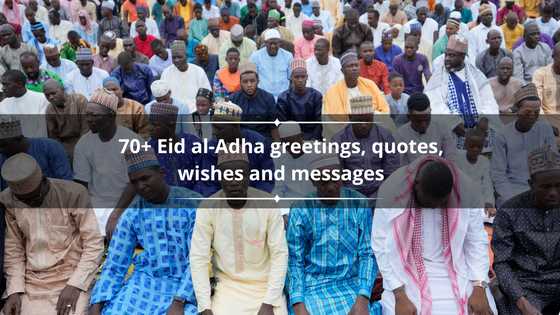 70+ Eid al-Adha greetings, quotes, wishes and messages