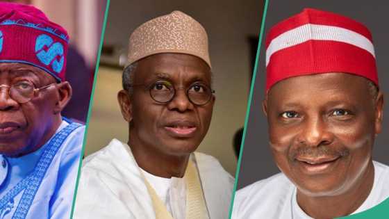 Northern group explains why Tinubu dropped El-Rufai, Kwankwaso as ministers