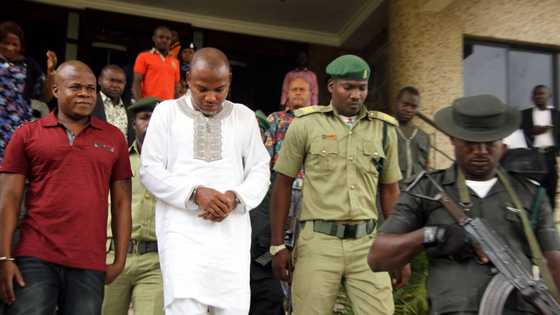 Good news for Nnamdi Kanu as Ohanaeze vows to ensure he regains his freedom