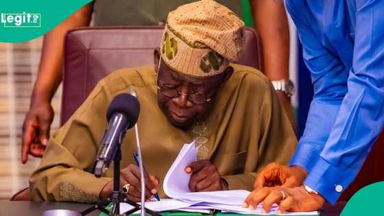 Just In: Tinubu removes Ganduje's top ally as chairman of BUK governing council