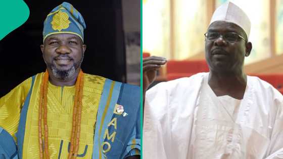 "Ali Ndume should be arrested": Lawyer gives reason