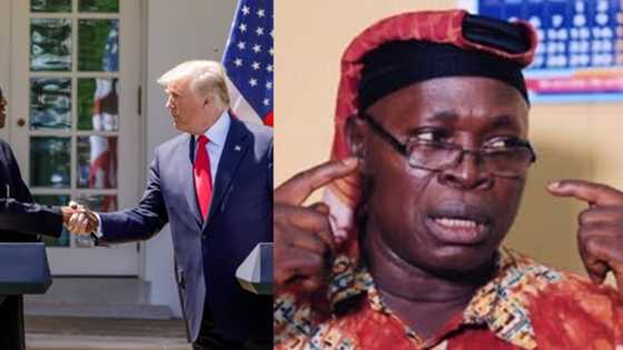 Read what Nigerians are saying as MURIC asks Buhari to ban Trump
