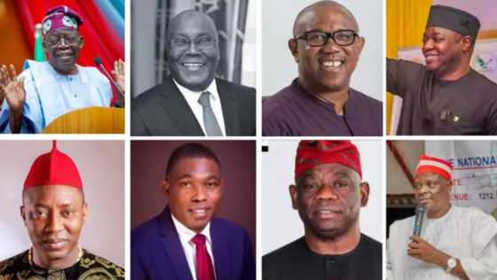Gwabzawar 2023: Tinubu, Kwankwaso, Atiku da 'yan takara 12 da ke son gaje Buhari