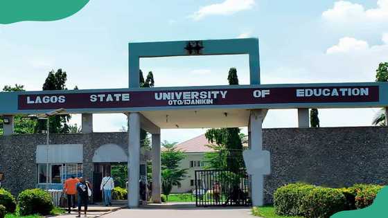 LASUED admission list: How to check admission and next steps