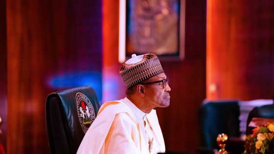 Wadanda Ke Zagaye da Buhari Duk an Nada su Ba Don Cancanta ba, Jigon APC