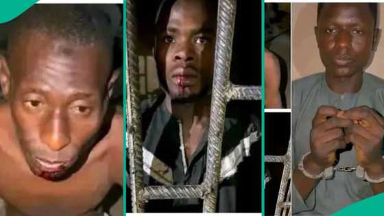 Yan sanda sun kama mutum 3 da ake zargi da kashe matar aure da yaranta 6 a Kano