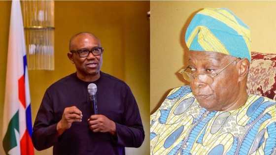 Peter Obi: Influential Yoruba politician backs southeast, says Igbo should be Nigeria's next president