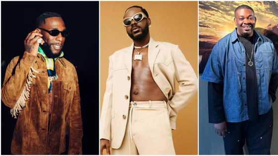 Burna Boy, Don Jazzy, 4 other top Nigerian musicians who have never been involved in baby mama scandals