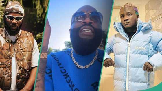 "I love African music": Rick Ross stirs attention as he names his two favourite Nigerian singers