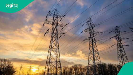 Nijar da kasashe 2 sun ci bashin wutar lantarkin N25bn a Najeriya sun gaza biya